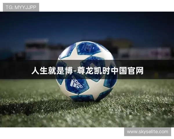 尊龙现金人生就是博：深入分析游戏玩法中的风险控制与收益优化方法